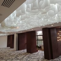 Подвесной потолок Wave для санатория Mayrveda