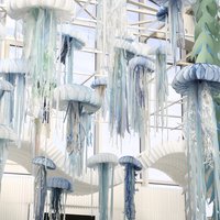 Фото 6. Коллекция уникальных медуз для оформления витрин