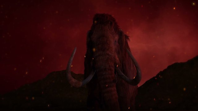 Промоэкран в музее города Салехарда