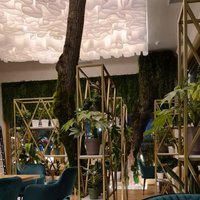 Дизайнерские потолки для кафе и ресторанов