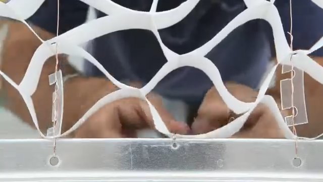 Сотовый потолок Honeycomb из негорючей бумаги