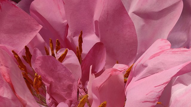 Декоративные цветы из архитектурной бумаги Peony Flower