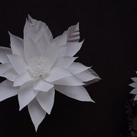 Origami flowers made from architectural paper 