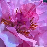 Декоративный цветок из архитектурной бумаги Peony Flower
