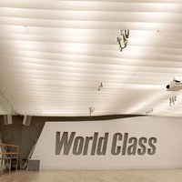 Ламельный потолок Drop Stripe® в World Class, Москва