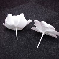 Architectural paper flowers 