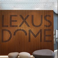 Оформление пространства Lexus Dome