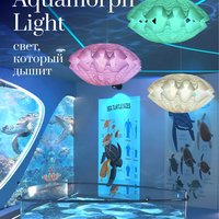 Листовка Aquamorph Light, оборот