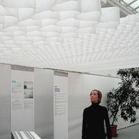 Non-flammable honeycomb ceiling 