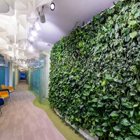 Paper ceiling for office Skincare in Moscow 