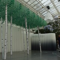 Флористический декор - березки