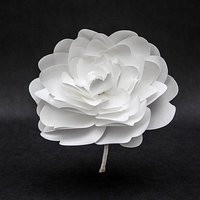 Paper Peony 